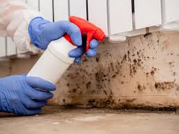 Best Comprehensive Air Testing for Mold Contaminants in Front Royal, VA